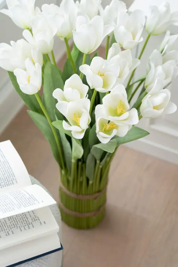 Tulipe
