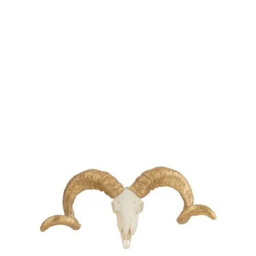 CRÂNE MOUTON RESINE BLANC/OR SMALL