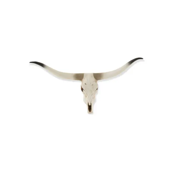 Déco murale Crâne - résine - Naturel/blanc - S 50x22