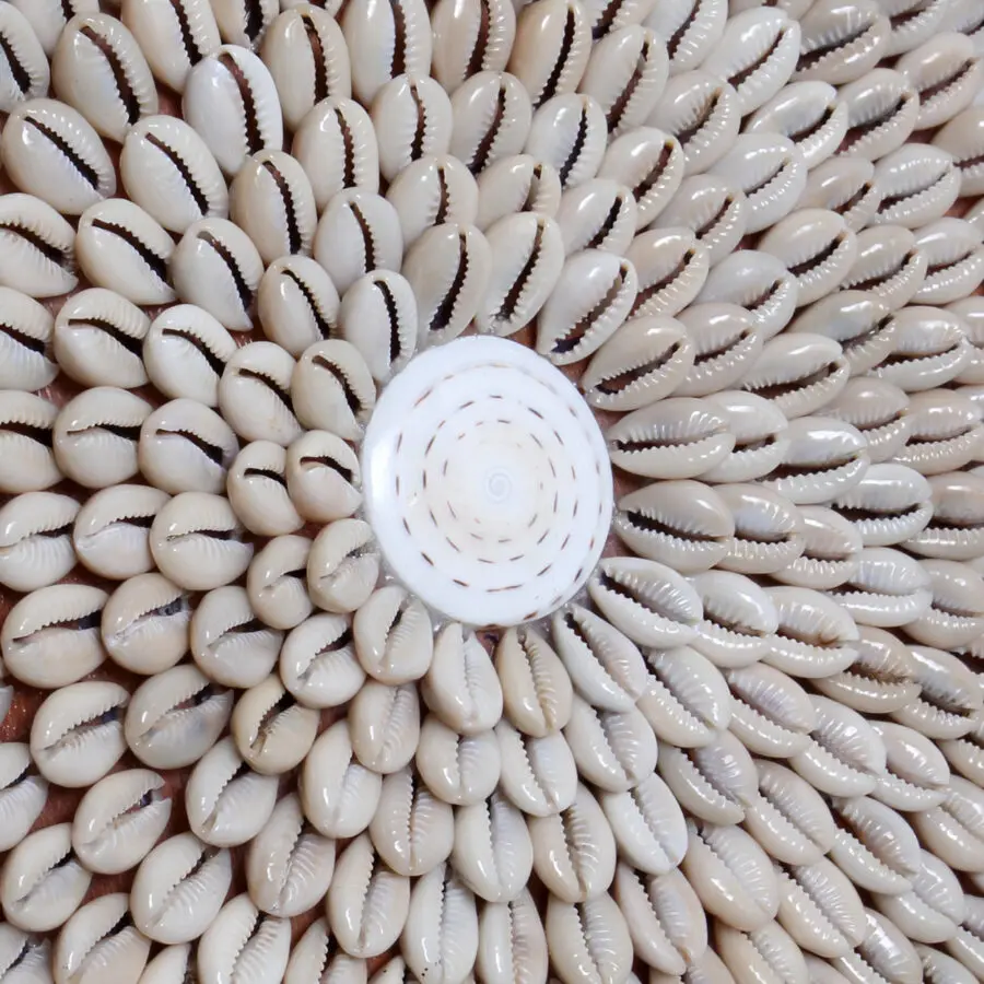 La Jolie Côte La Jolie Côte – Image 4