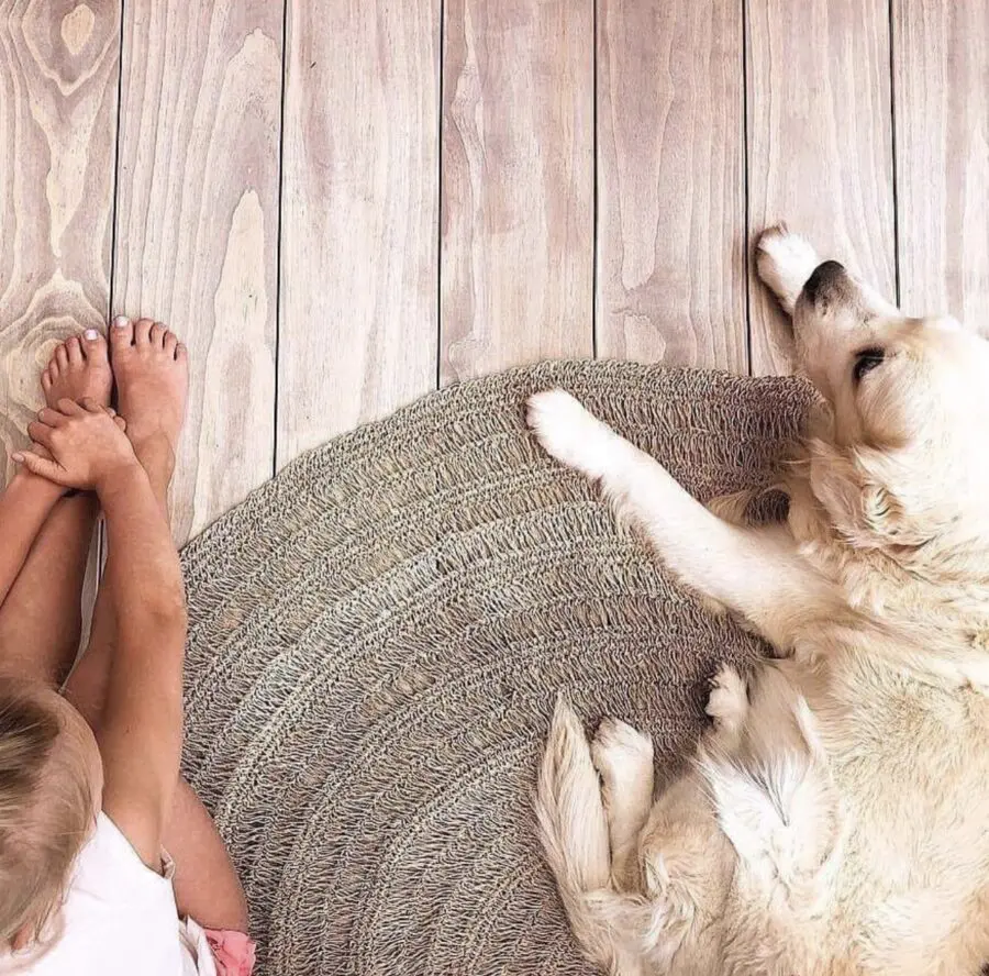 Le Tapis Seagrass - Naturel - 200 Le Tapis Seagrass - Naturel - 200 – Image 2