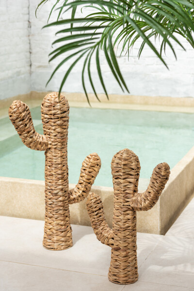 décoration cactus jacynthe et fer J-line Jolipa