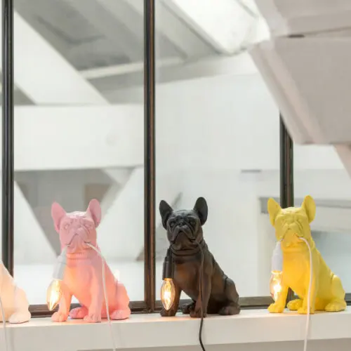 Lampe bulldog poly blanc J-line Jolipa lampe chien blanc lampe bulldog résine lampe résine blanc lampe bulldog noir lampe bulldog jaune lampe bulldog rose