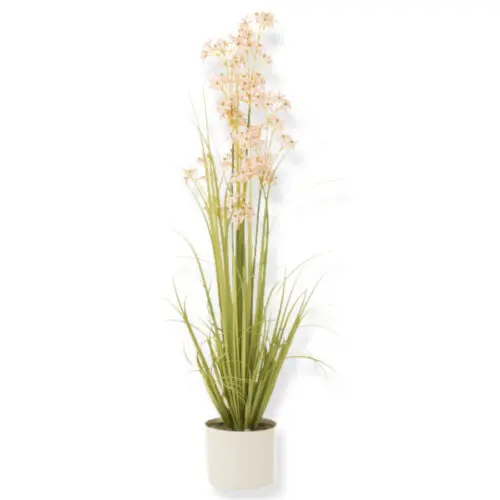 allium en pot plastique vert/rose clair large J-line Jolipa
