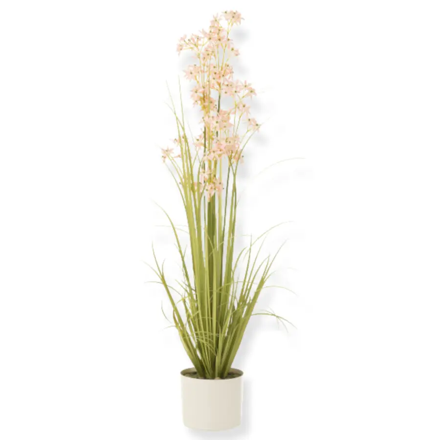 allium en pot plastique vert/rose clair large J-line Jolipa