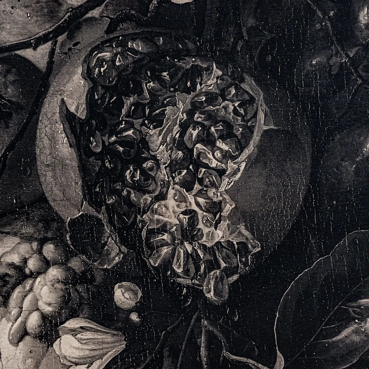 Toile Gelof Vical Home 240x306 Toile Gelof Vical Home 240x306 – Image 2