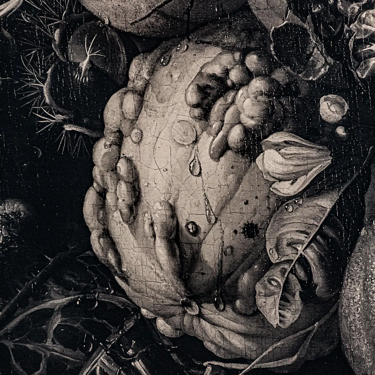 Toile Gelof Vical Home 240x306 Toile Gelof Vical Home 240x306 – Image 3