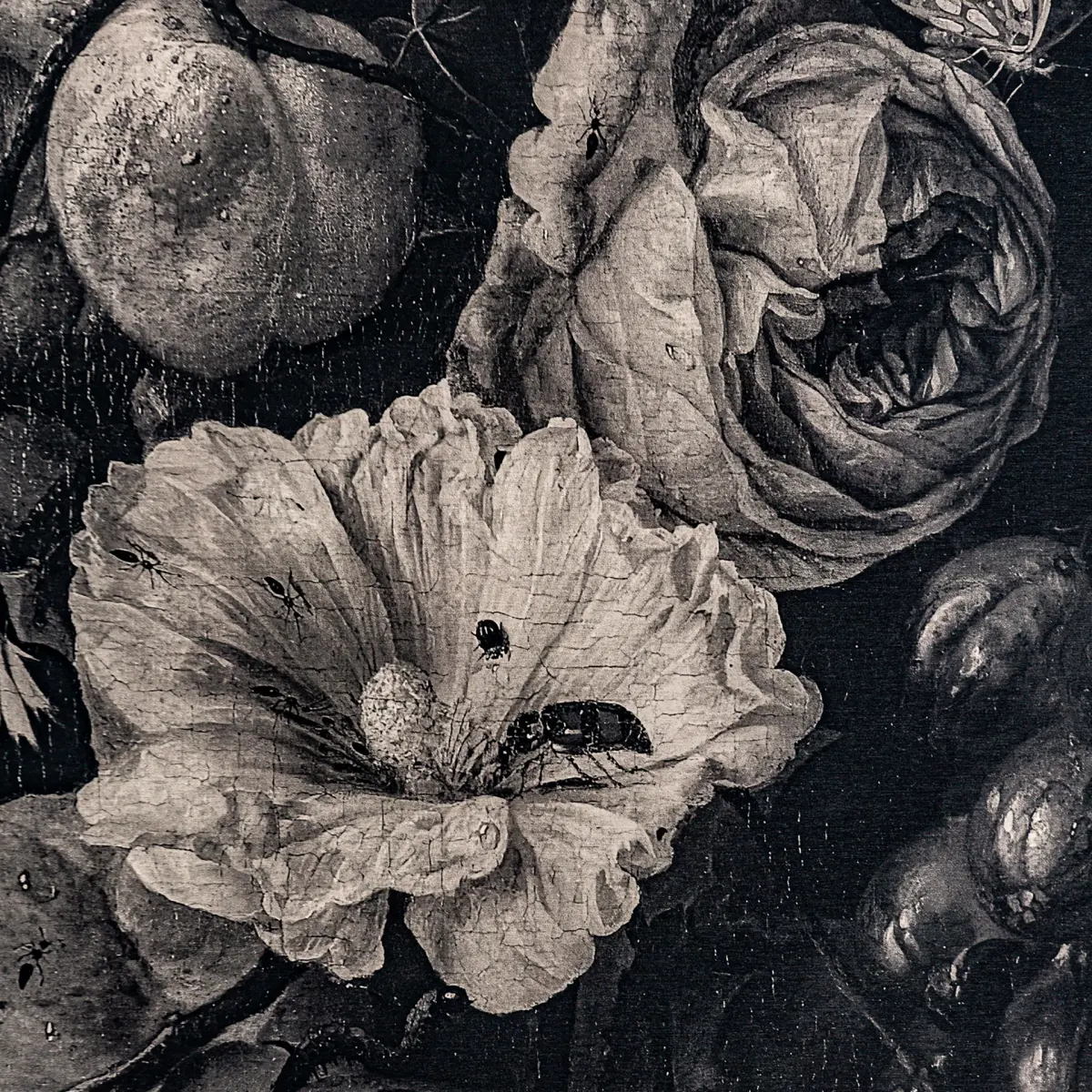 Toile Gelof Vical Home 240x306 Toile Gelof Vical Home 240x306 – Image 4