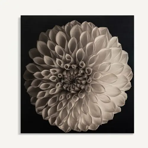 Toile Whill Vical Home 250x258