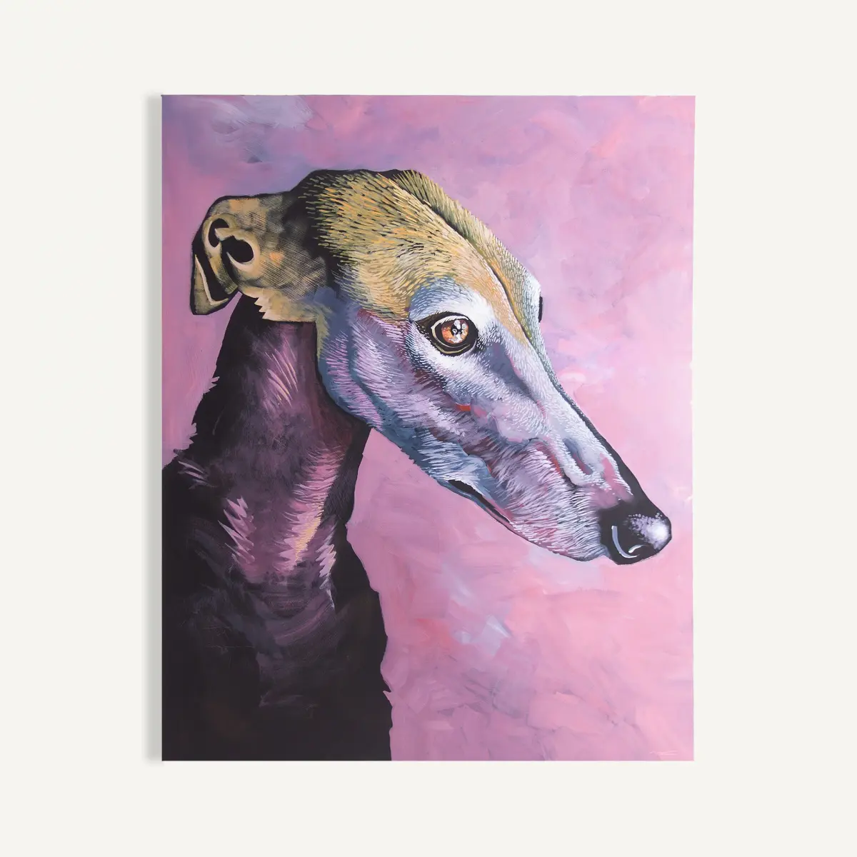 Toile Galgo Vical Home 120x150