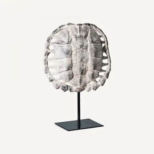 Objet déco Sculpture résine Carapace tortue Caparaçon tortuga Vical Home
