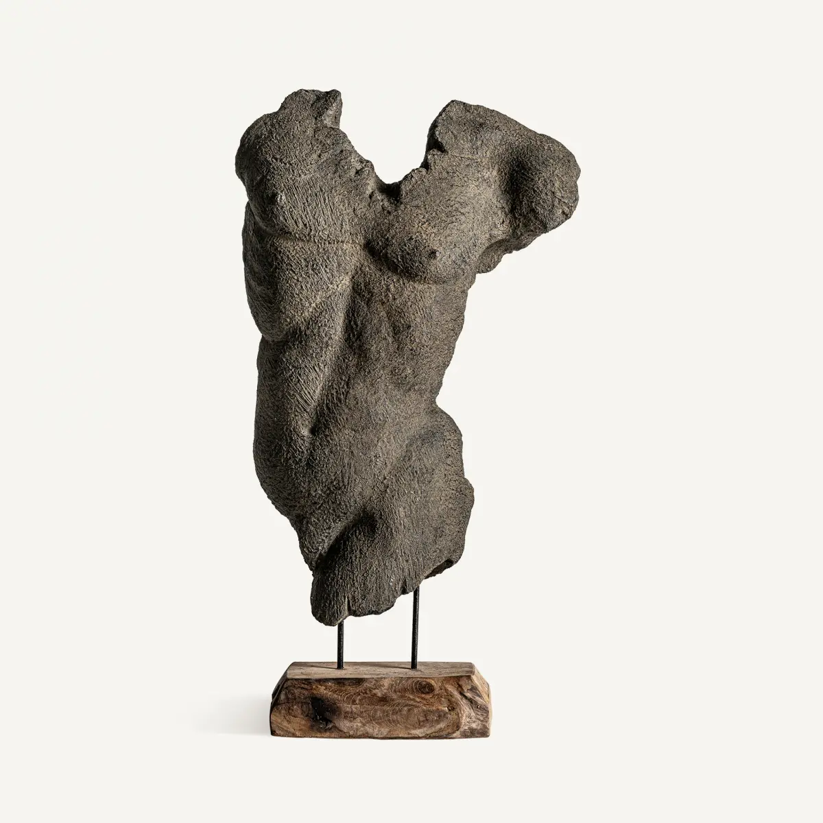 Buste Man Vical Home 71cm