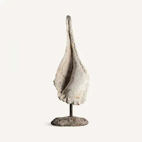 Coquillage sur pied Vical Home 100cm