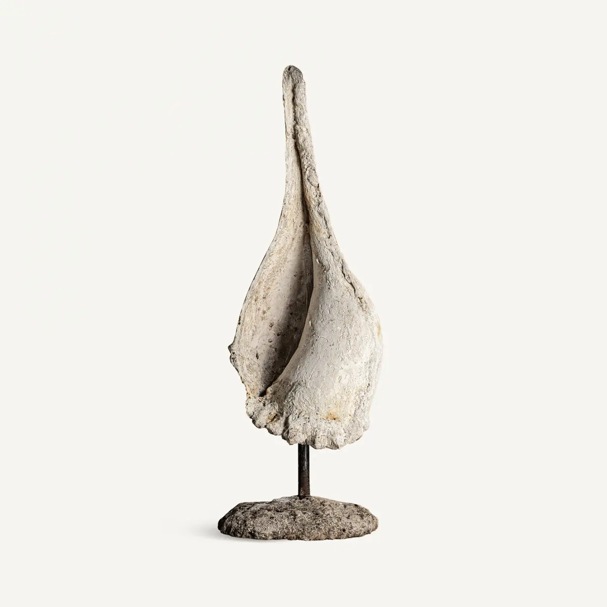 Coquillage sur pied Vical Home 100cm