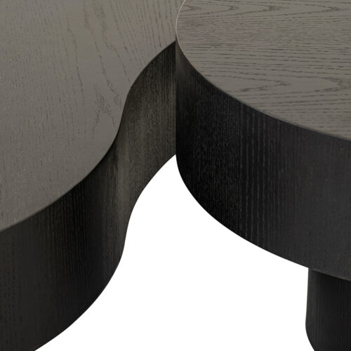 Table basse Bogor noir Richmond Interiors - lot de 2 - 4