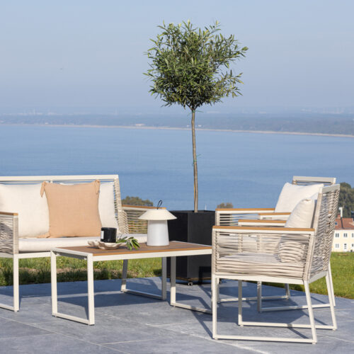 Salon de jardin acier beige bois Kentucky