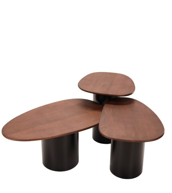 Tables Basses Vega Bois Athezza x 3 – Image 2