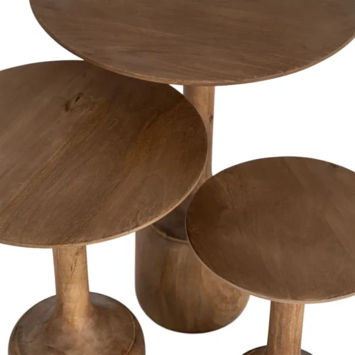 Set de 3 bouts de canapé gigognes ronds bois de manguier Ixia 50 cm — vue 5