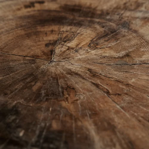Table basse Doucen bois de suar naturel Vical Home — vue 5