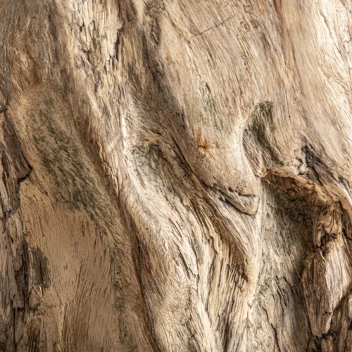 Table basse Khaled bois de suar naturel Vical Home — vue 8