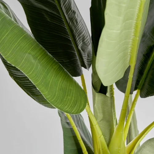 Plante artificielle Bananero verte 220 cm Vical Home — vue 2