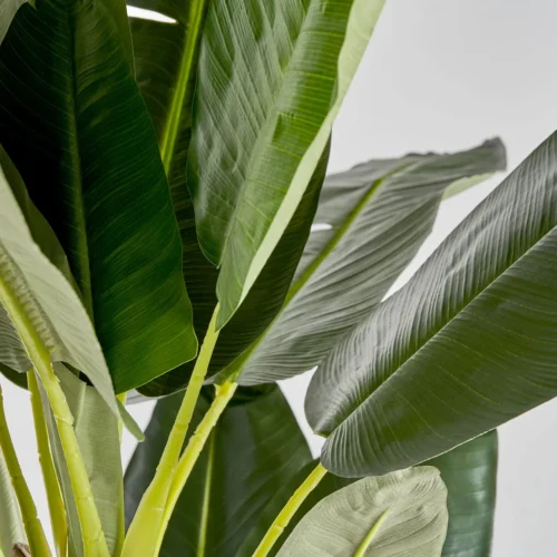 Plante artificielle Bananero verte 220 cm Vical Home — vue 3