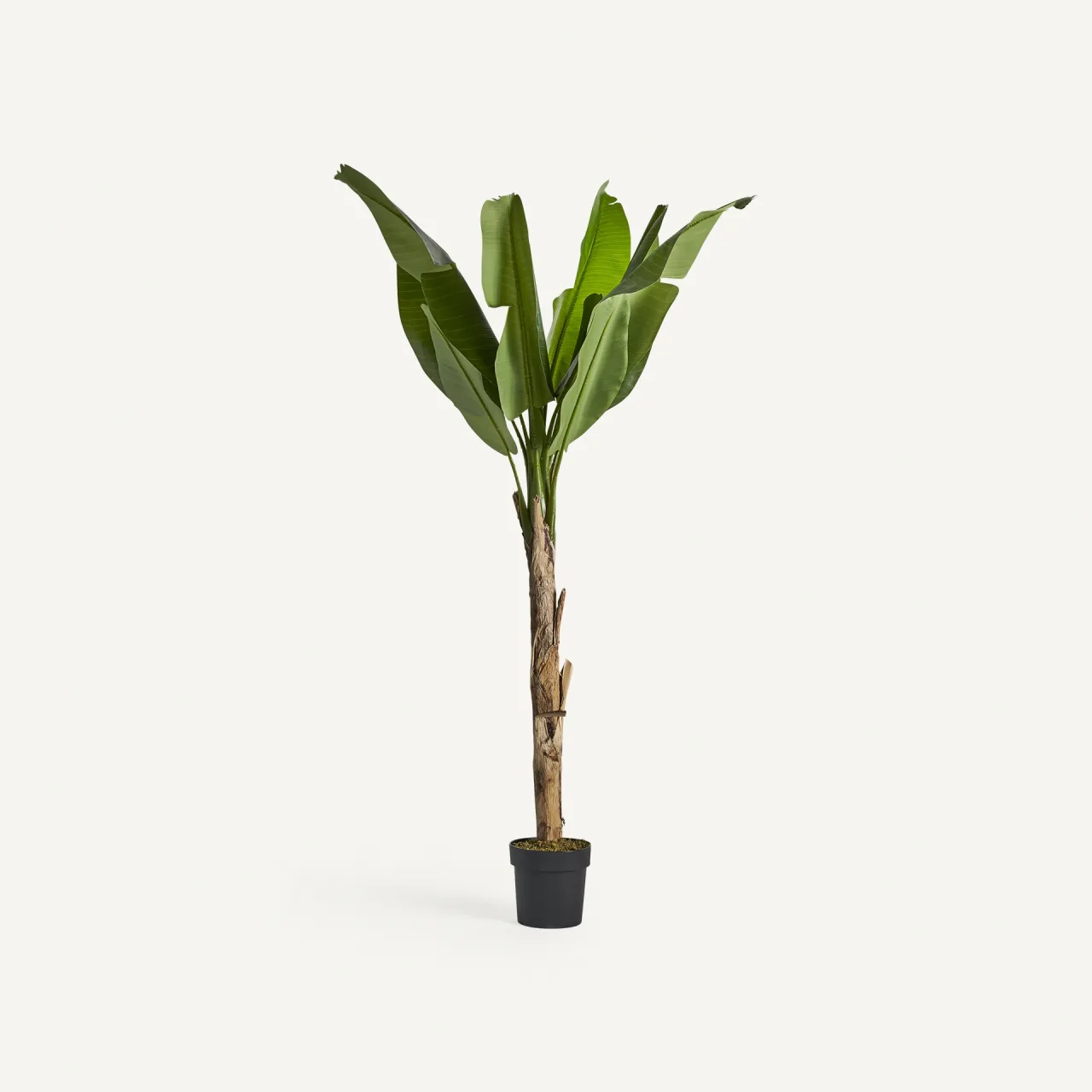 Plante artificielle Bananier verte 165 cm Vical Home