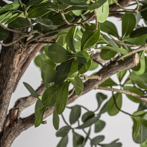 Plante artificielle Ficus 230 cm Vical Home — vue 2