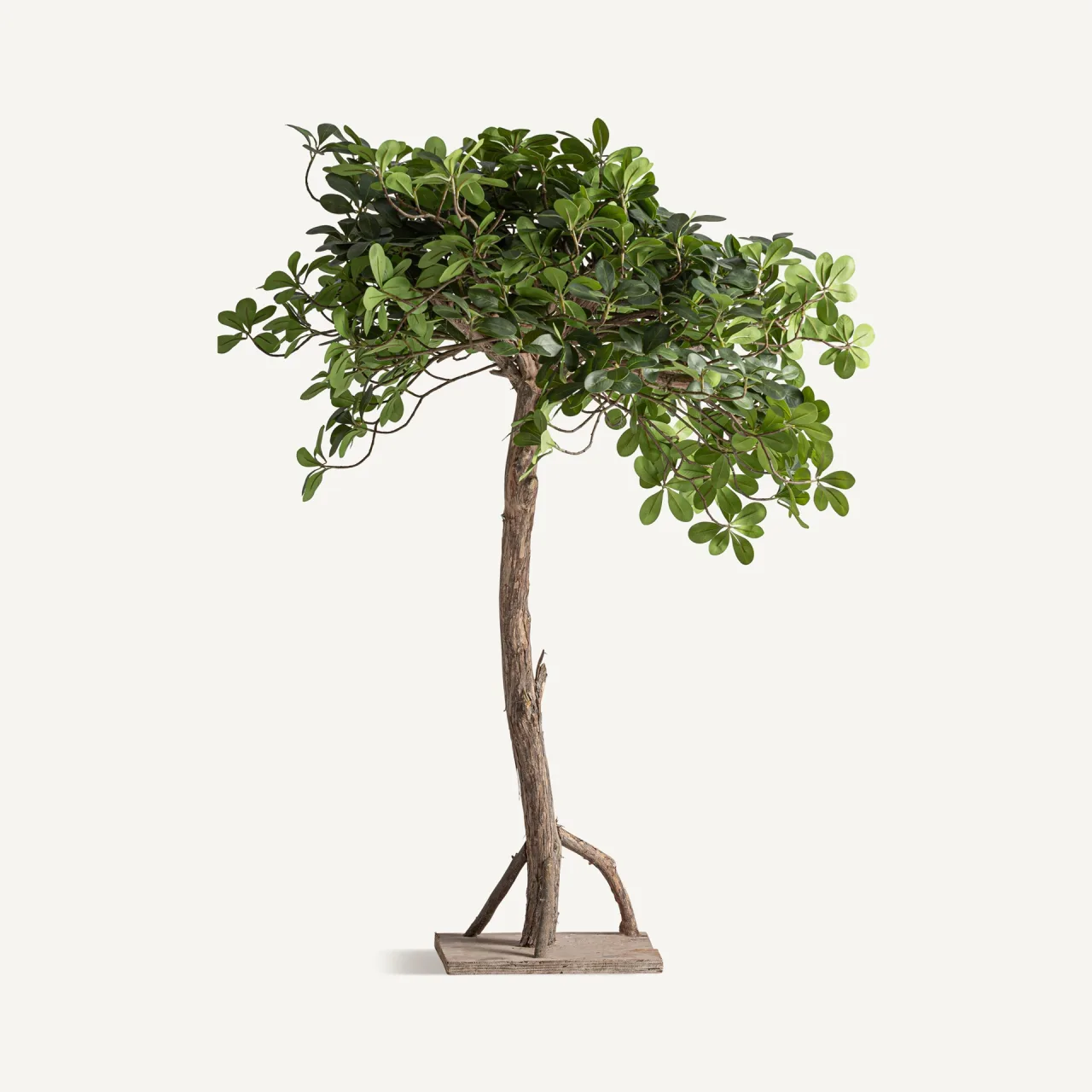 Plante artificielle Ficus tronc en bois Vical Home