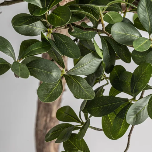 Plante artificielle Ficus tronc en bois Vical Home — vue 2