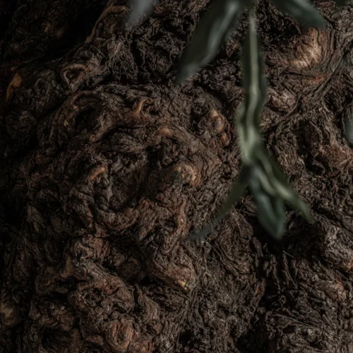 Plante artificielle Olivo 240 cm Vical Home — vue 3