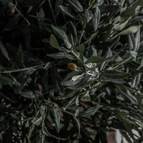 Plante artificielle Olivo 240 cm Vical Home — vue 4