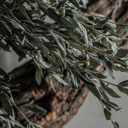 Plante artificielle Olivo 240 cm Vical Home — vue 6