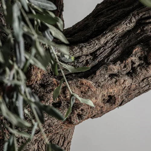 Plante artificielle Olivo 240 cm Vical Home — vue 7