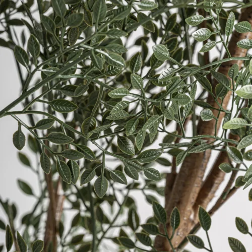 Plante artificielle Olivo verte 180 cm Vical Home — vue 2