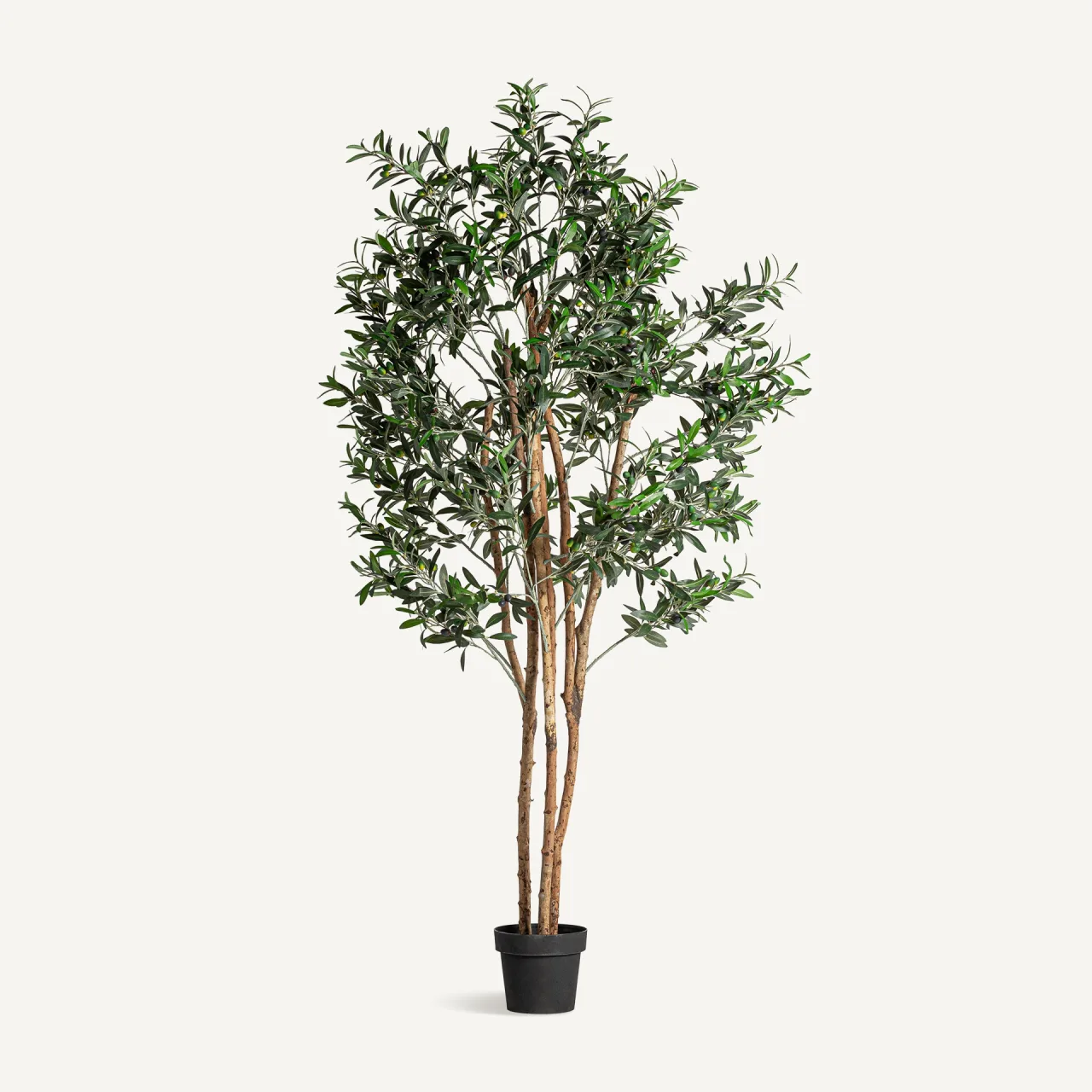 Plante artificielle Olivo verte 190 cm Vical Home