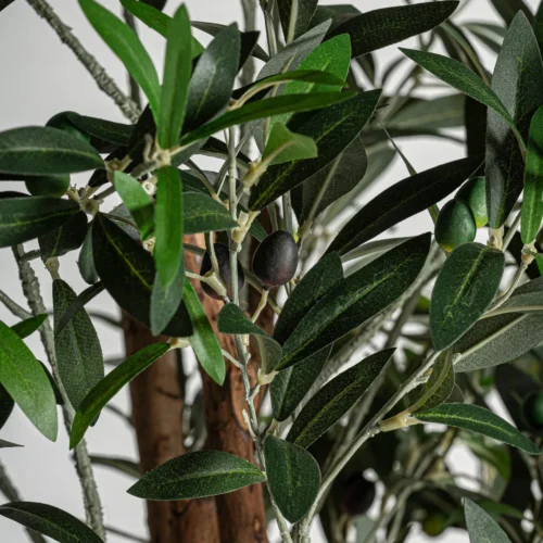 Plante artificielle Olivo verte 190 cm Vical Home — vue 3