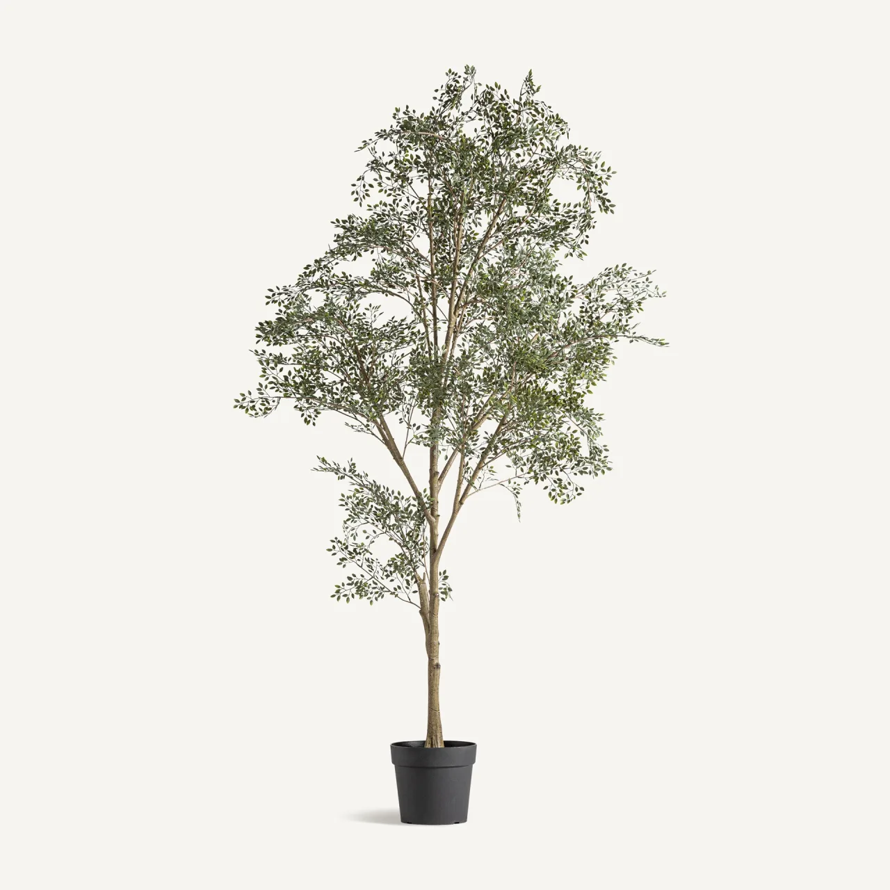 Plante artificielle Olivo verte 200 cm Vical Home