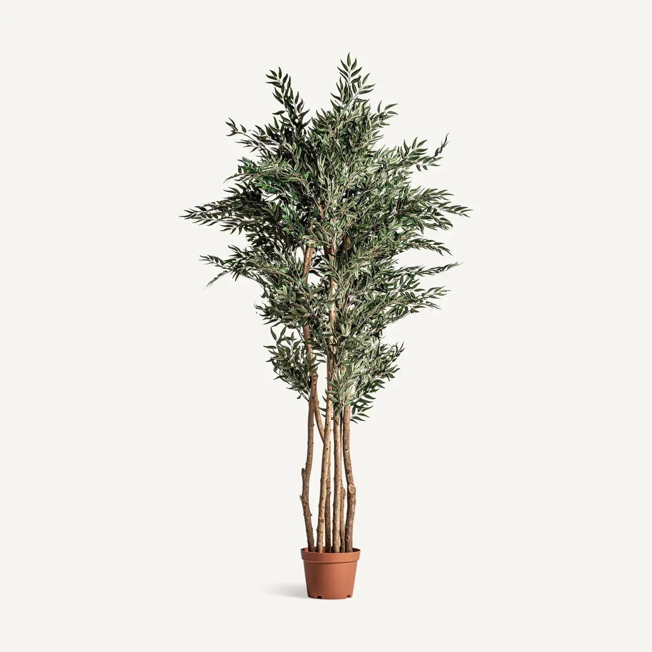 Plante artificielle Olivo verte 205 cm Vical Home