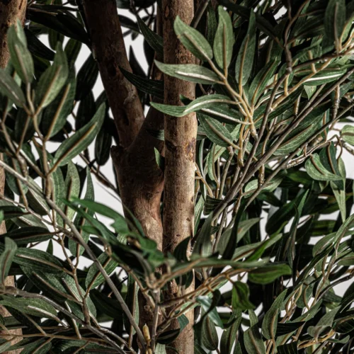 Plante artificielle Olivo verte 205 cm Vical Home — vue 3