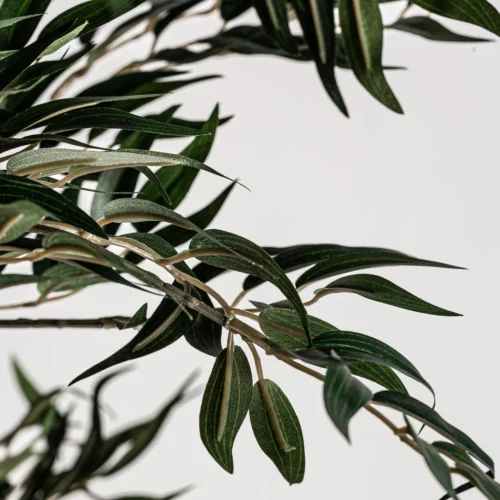 Plante artificielle Olivo verte 205 cm Vical Home — vue 4