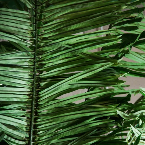 Plante artificielle Palmera verte 550 cm Vical Home — vue 2