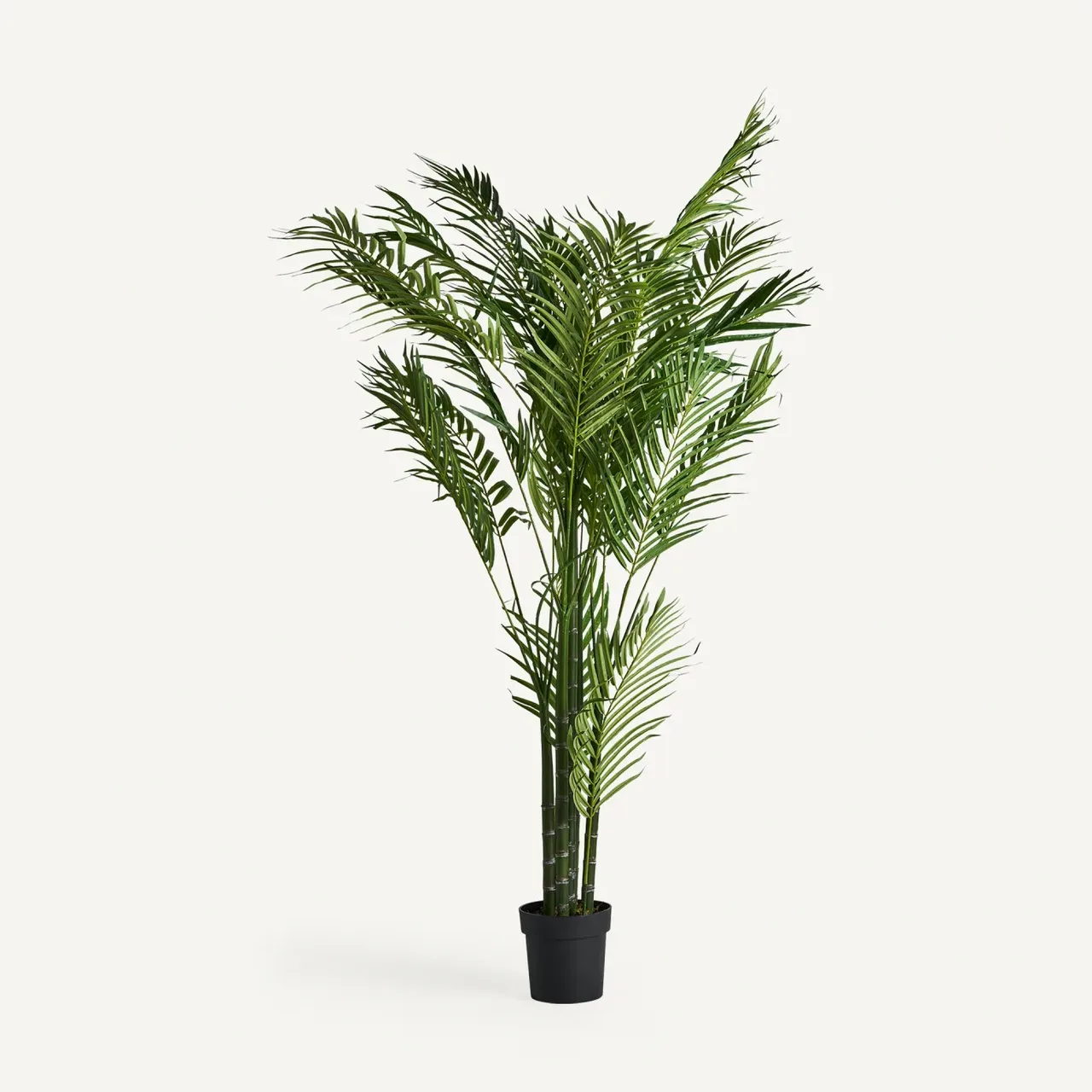 Plante artificielle Palmier verte 210 cm Vical Home