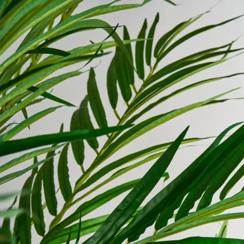 Plante artificielle Palmier verte 210 cm Vical Home — vue 3