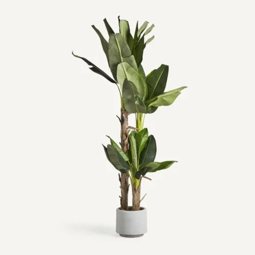Plante artificielle Platanero verte 245 cm Vical Home