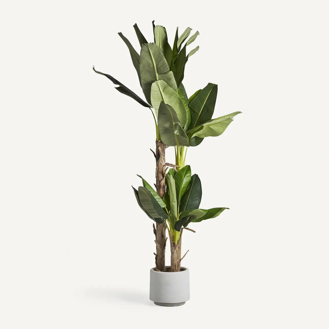 Plante artificielle Platanero verte 245 cm Vical Home