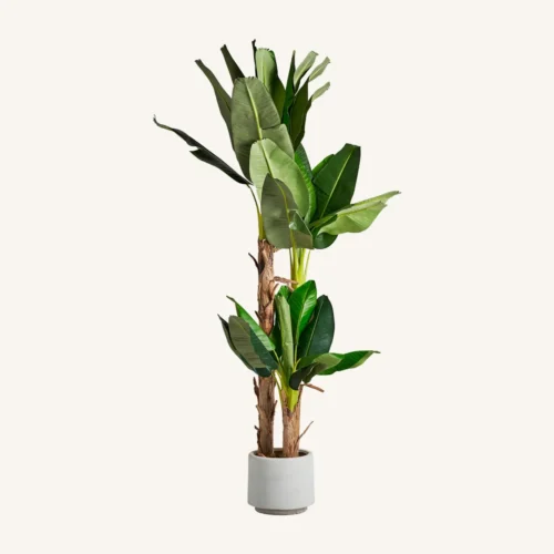 Plante artificielle Platanero verte 245 cm Vical Home — vue 2