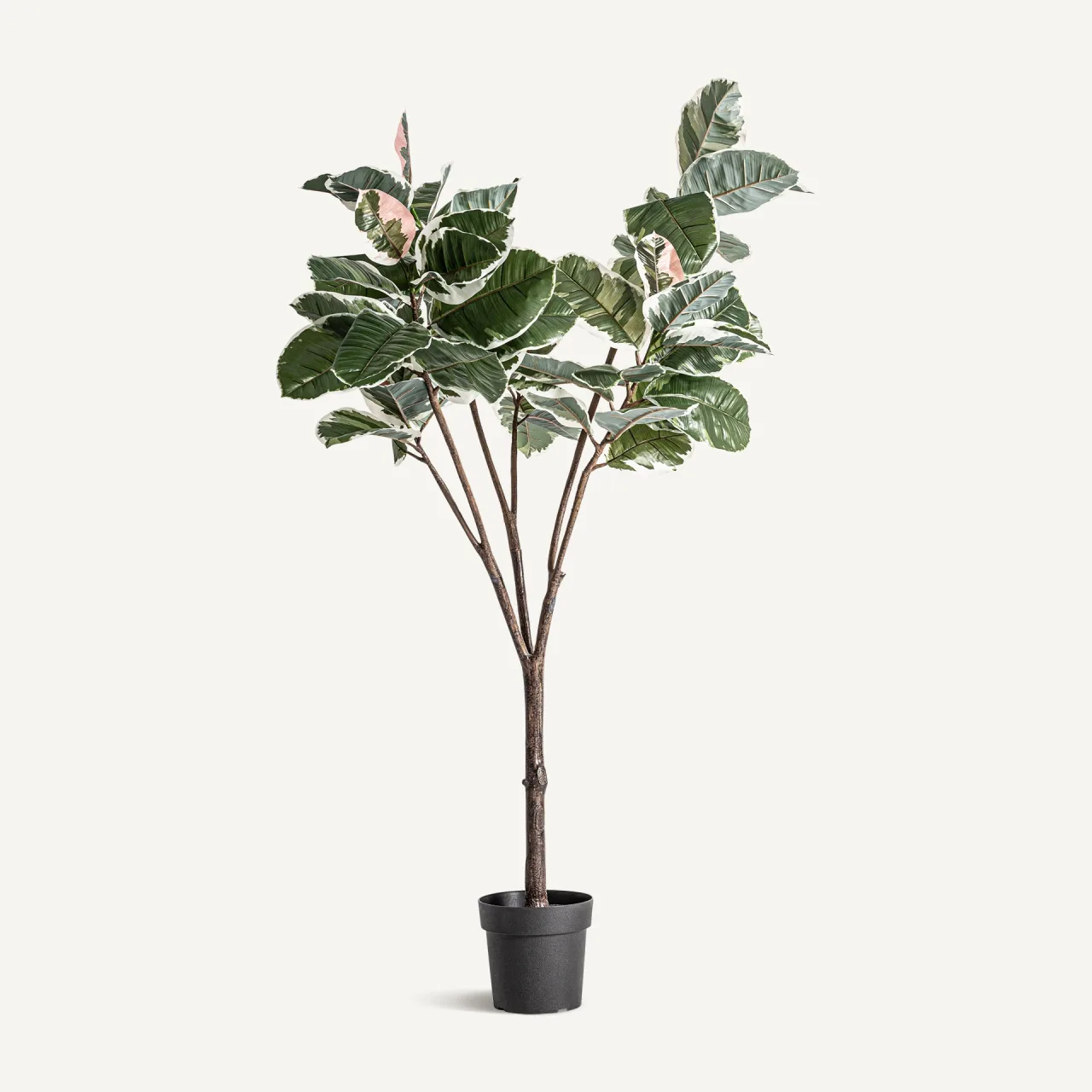 Plante artificielle Roble Blanco panachée Vical Home