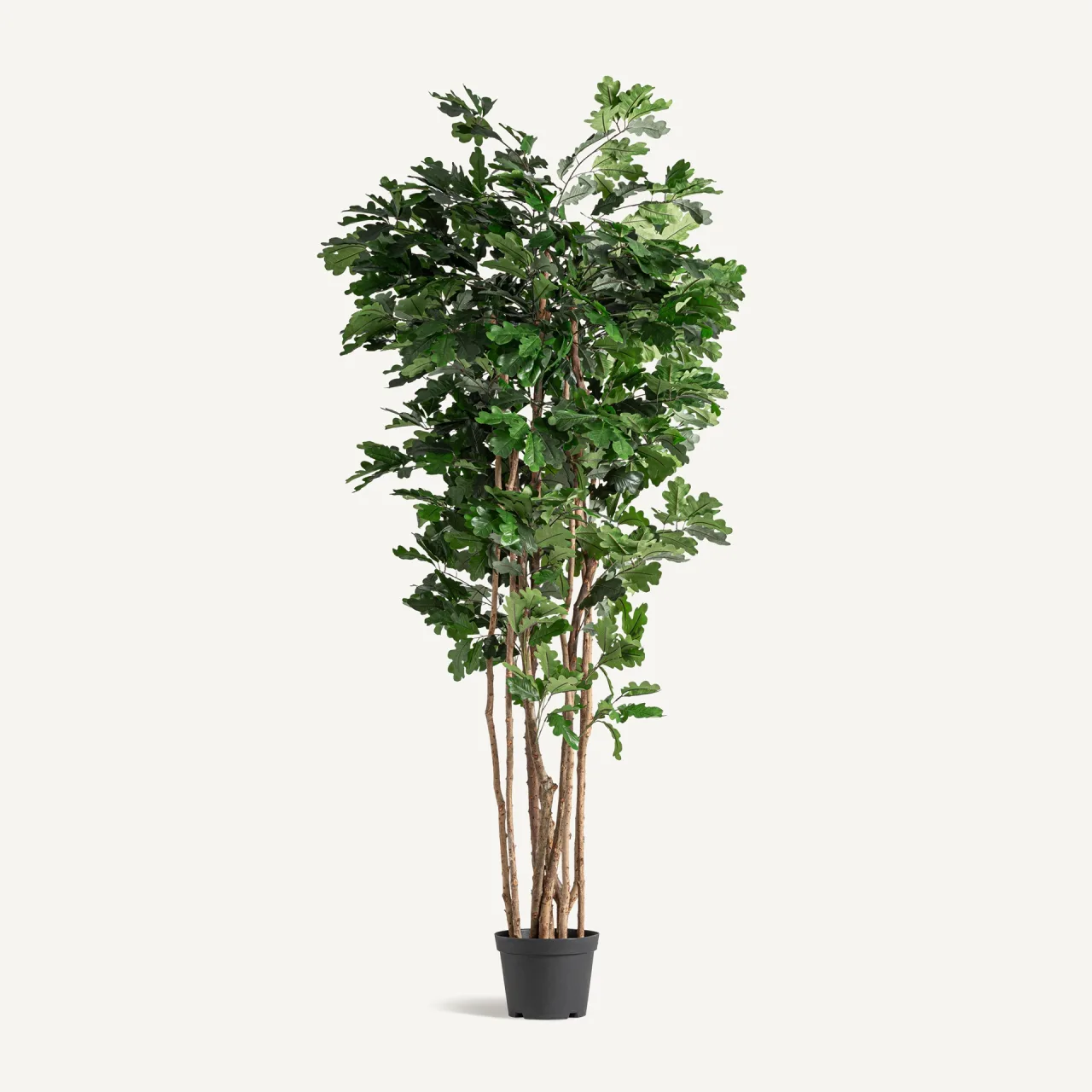 Plante artificielle Roble verte 210 cm Vical Home