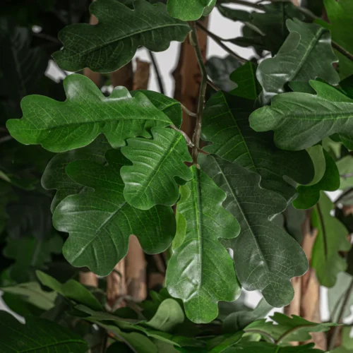 Plante artificielle Roble verte 210 cm Vical Home — vue 2